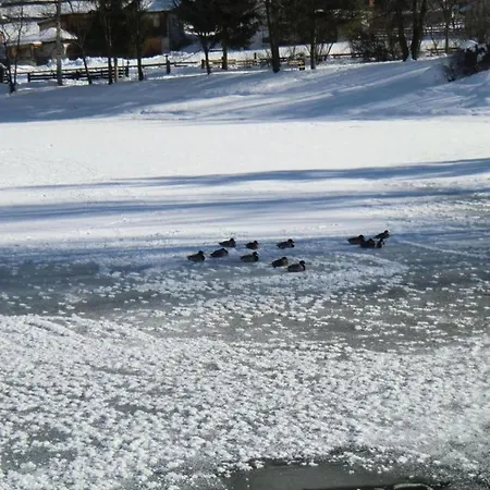 In Stubaital Near Lift Apartamento Neustift im Stubaital