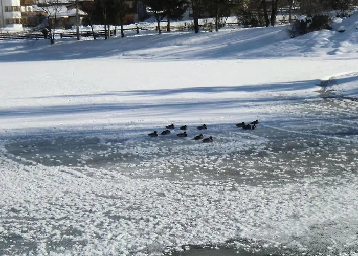 In Stubaital Near Lift Apartmán Neustift im Stubaital